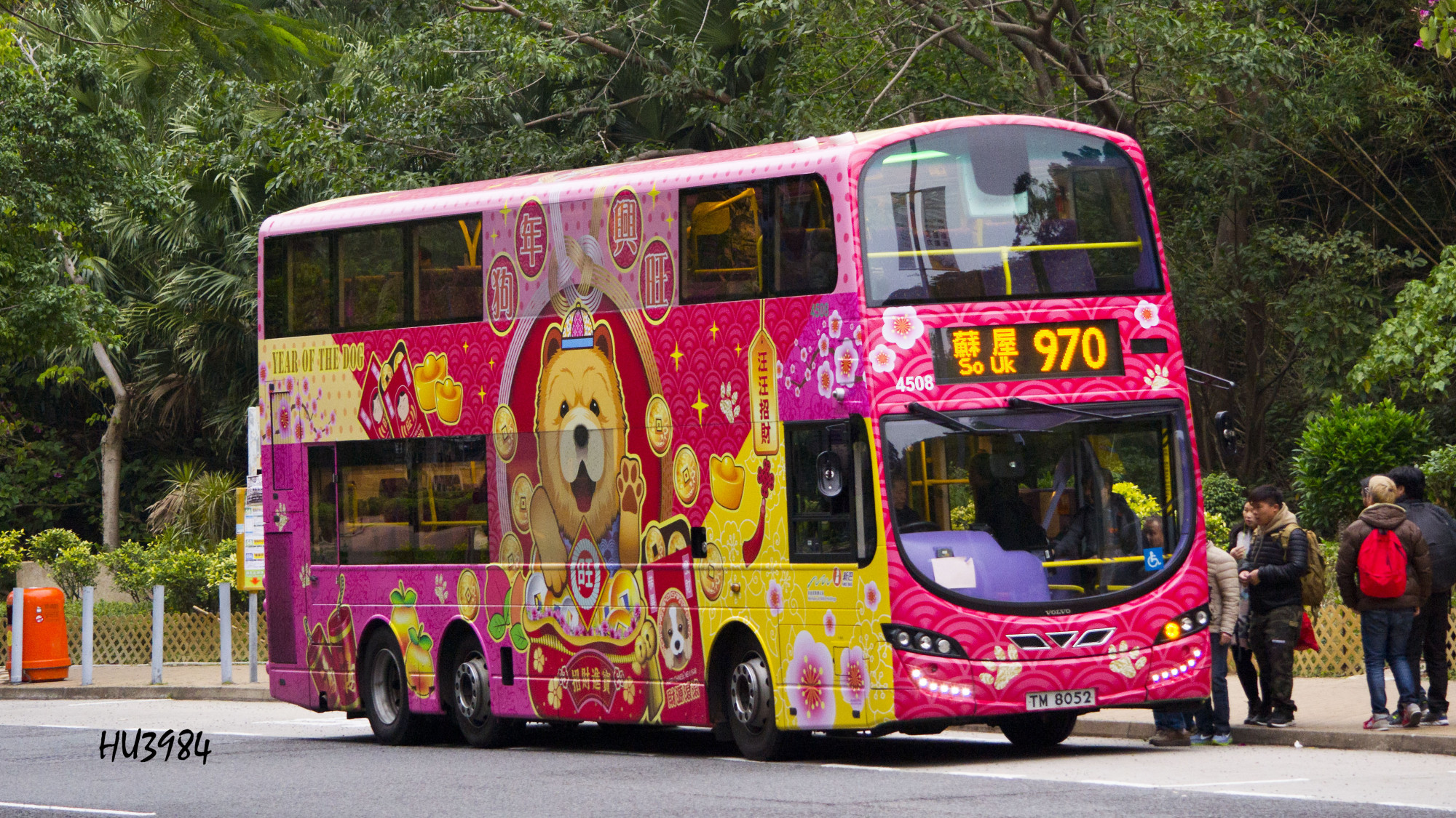 4508@970.jpg