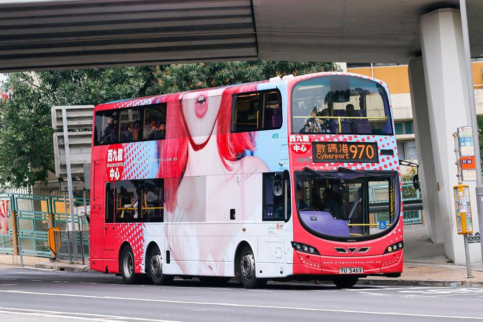 4519-970.jpg