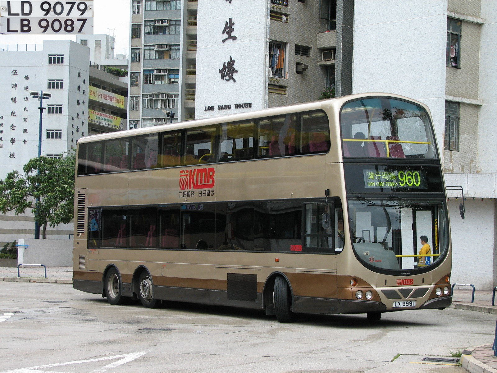 LX9991 (2).jpg