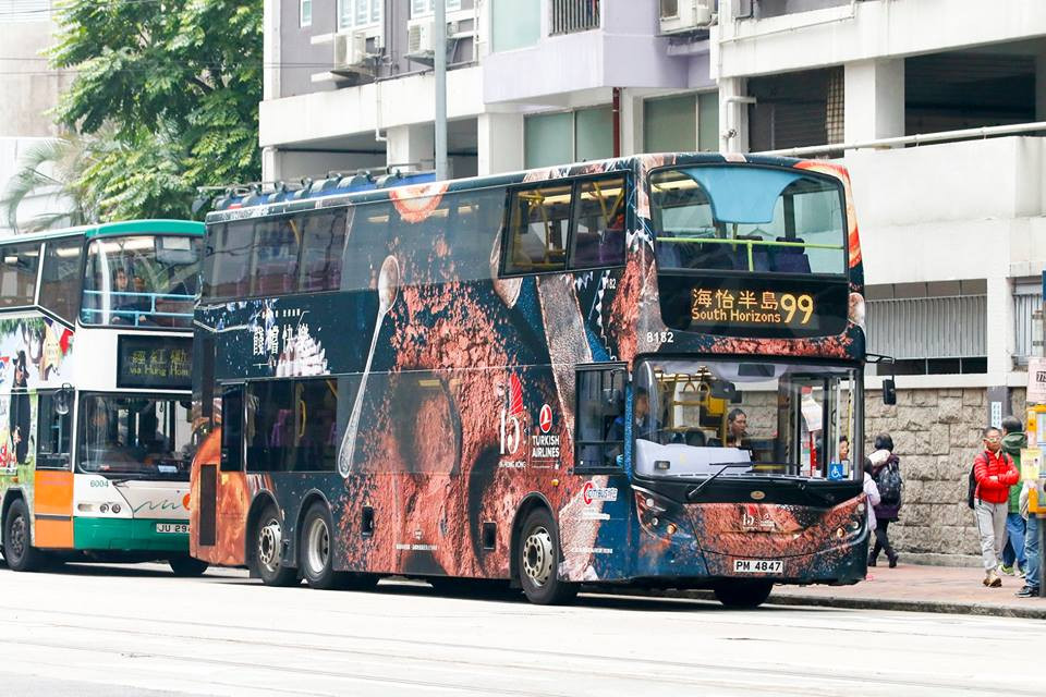 8182-99.jpg
