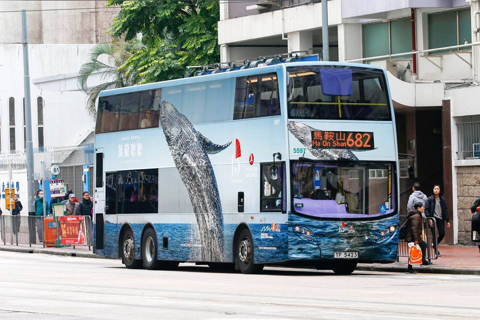 5597-682.jpg