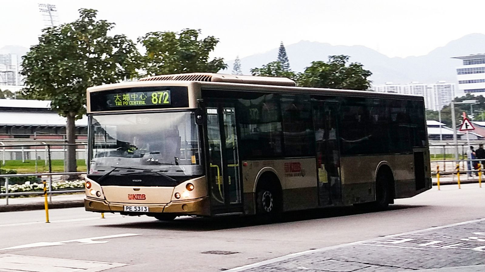 872 (1).jpeg