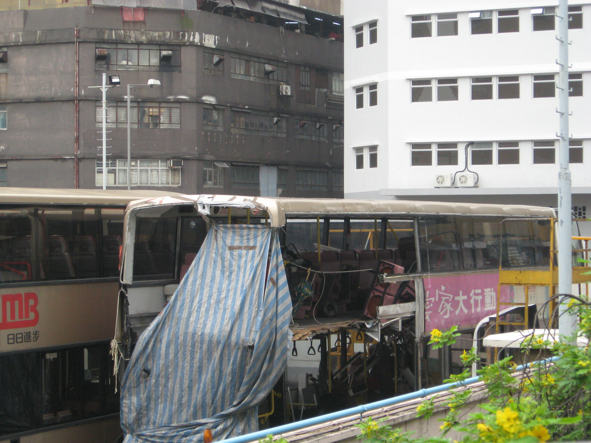 IMG 171.jpg