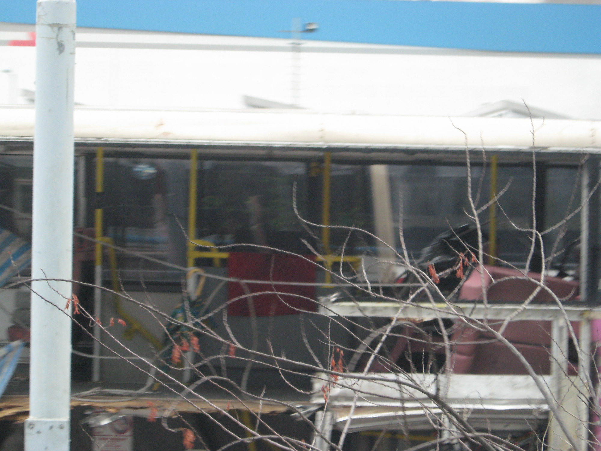 IMG 175.jpg