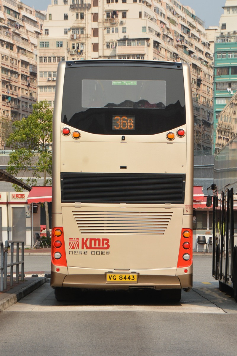 DSC_8923.JPG