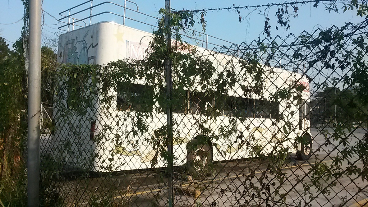 20180323_172742.jpg