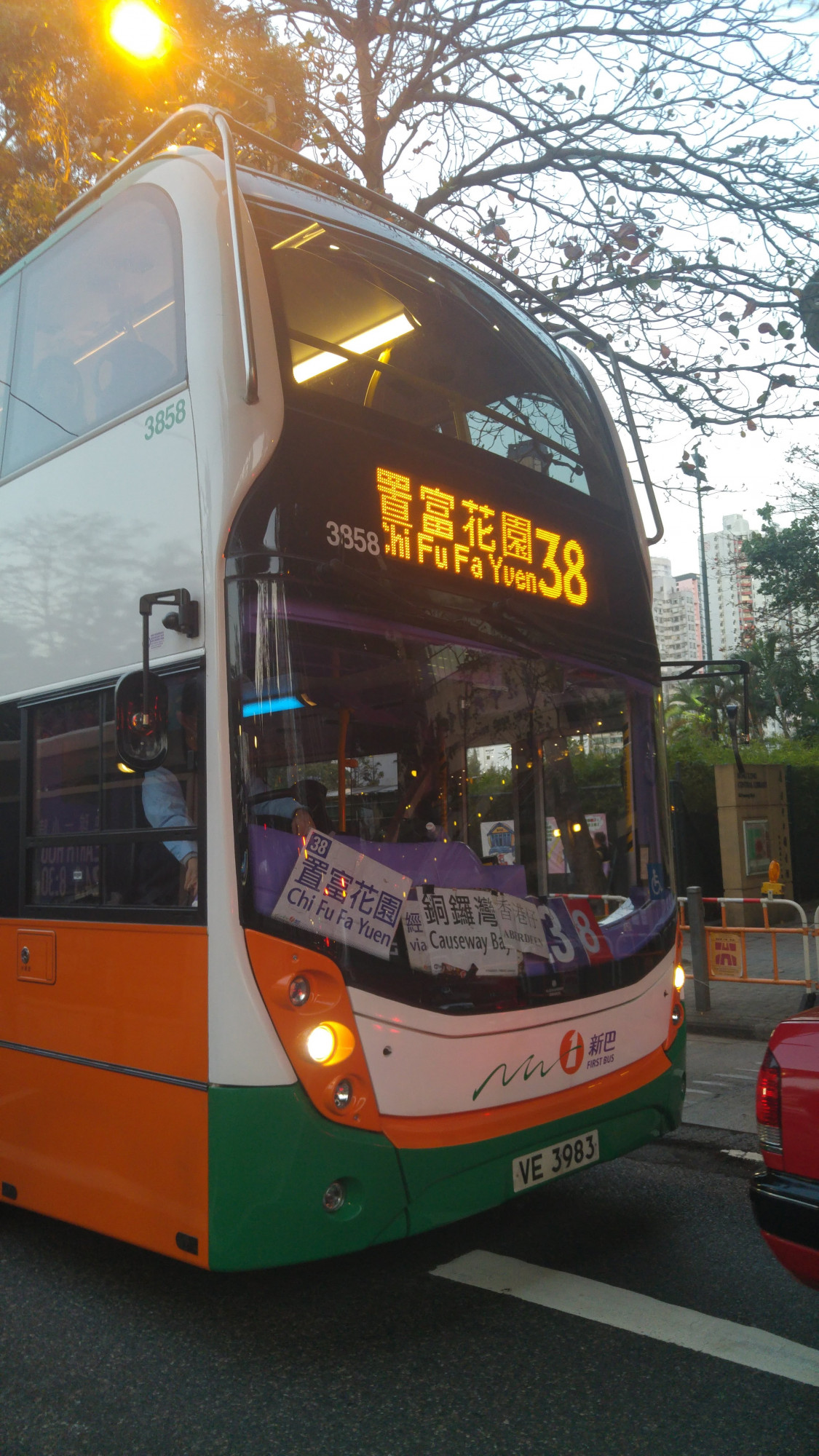 3858.jpg