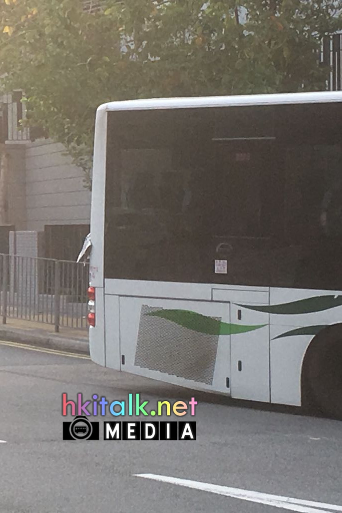 TS8262 (4).jpeg