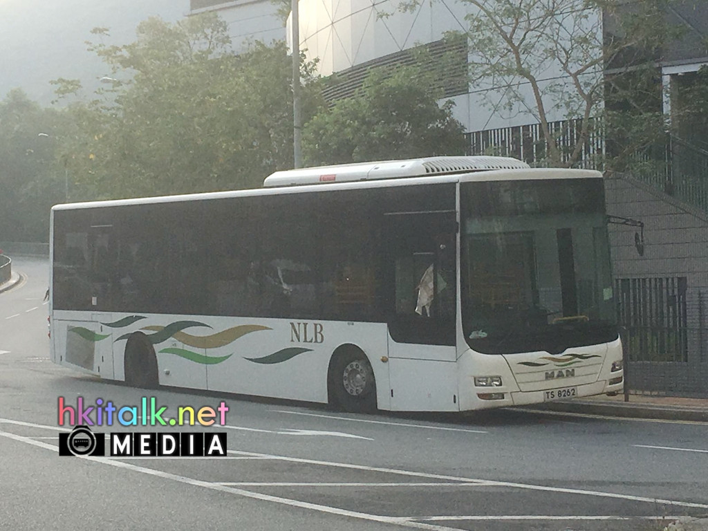 TS8262 (1).jpeg