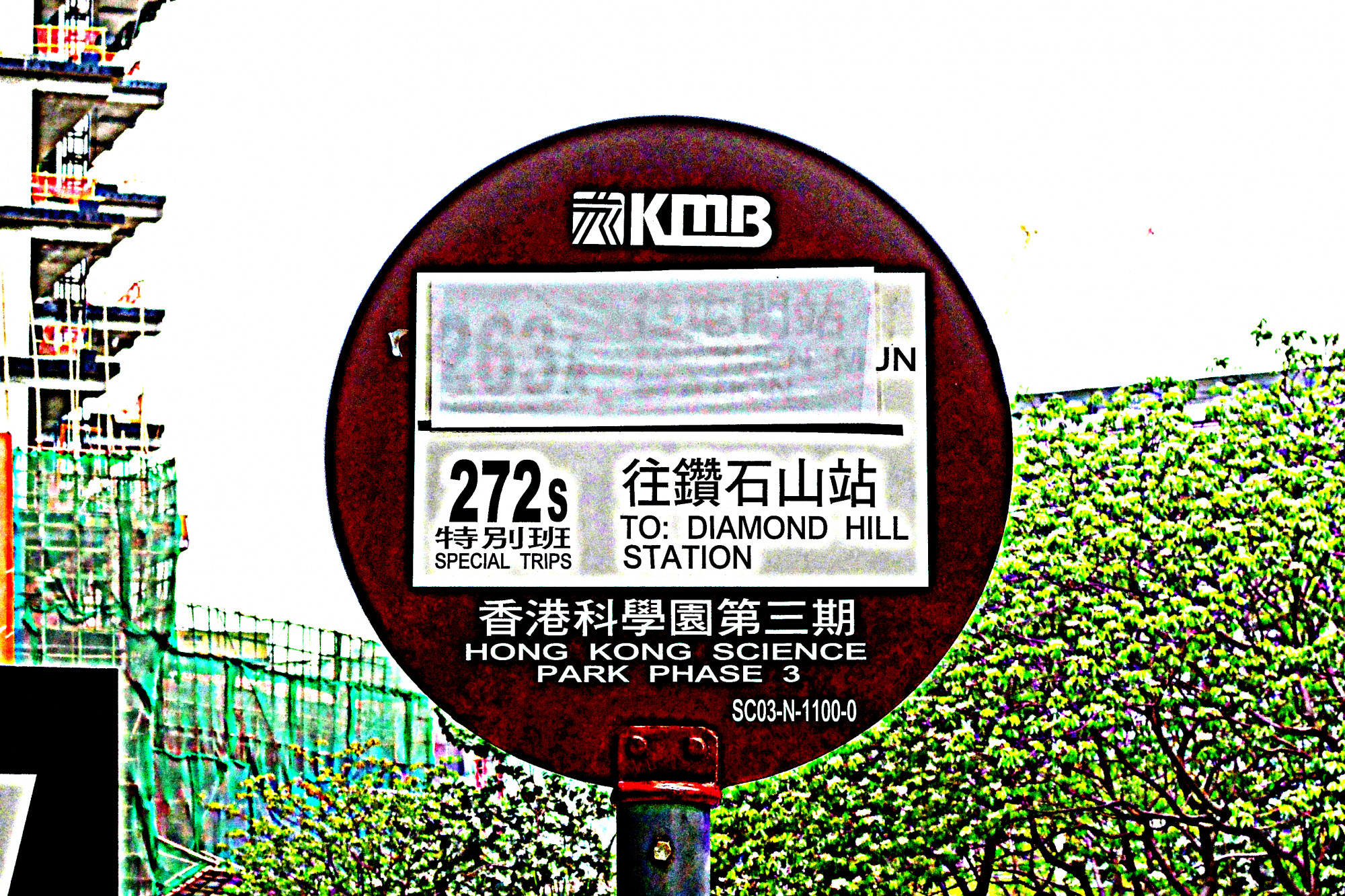 IMG_8174_edit.jpg