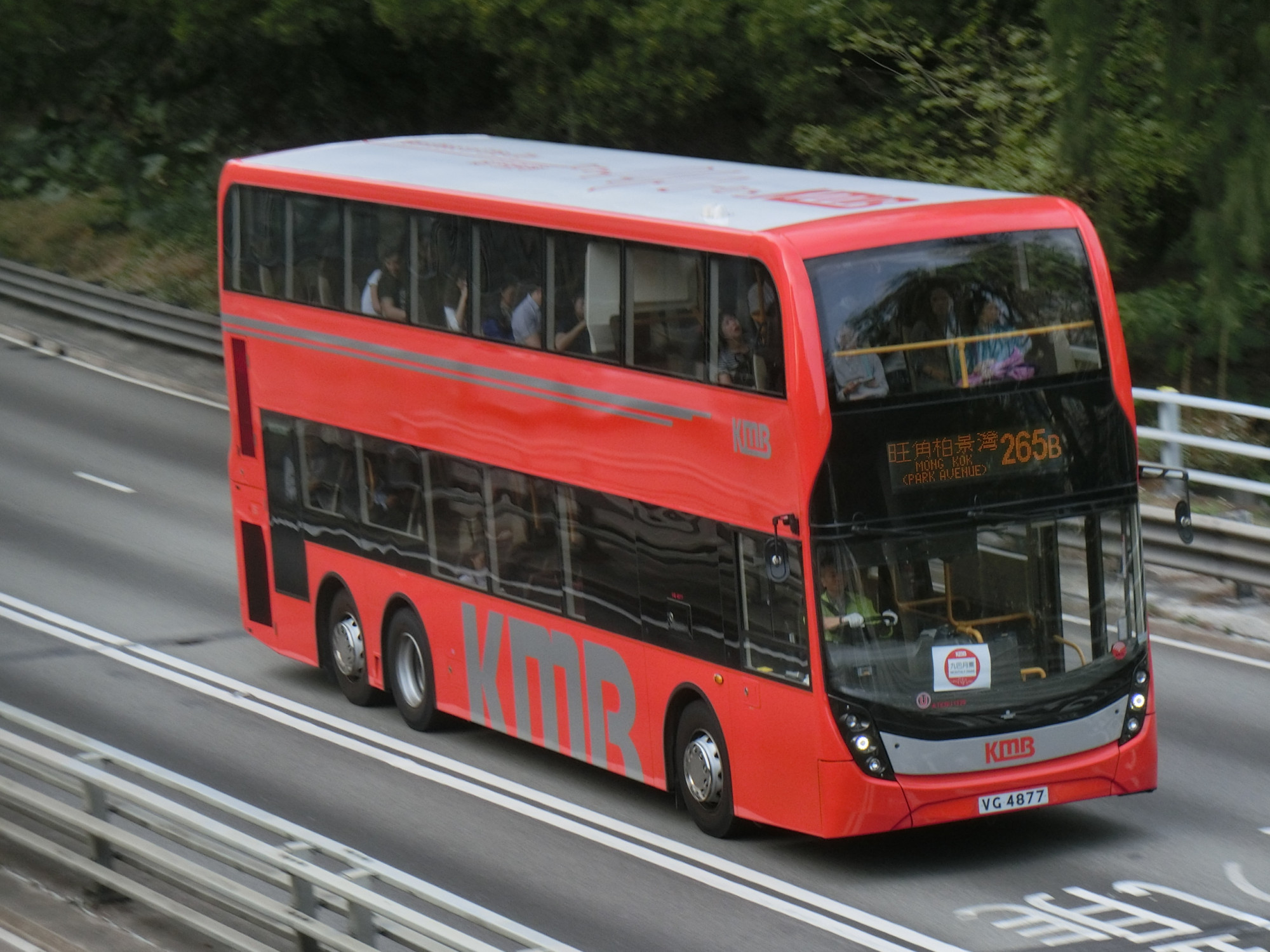CIMG6310.JPG