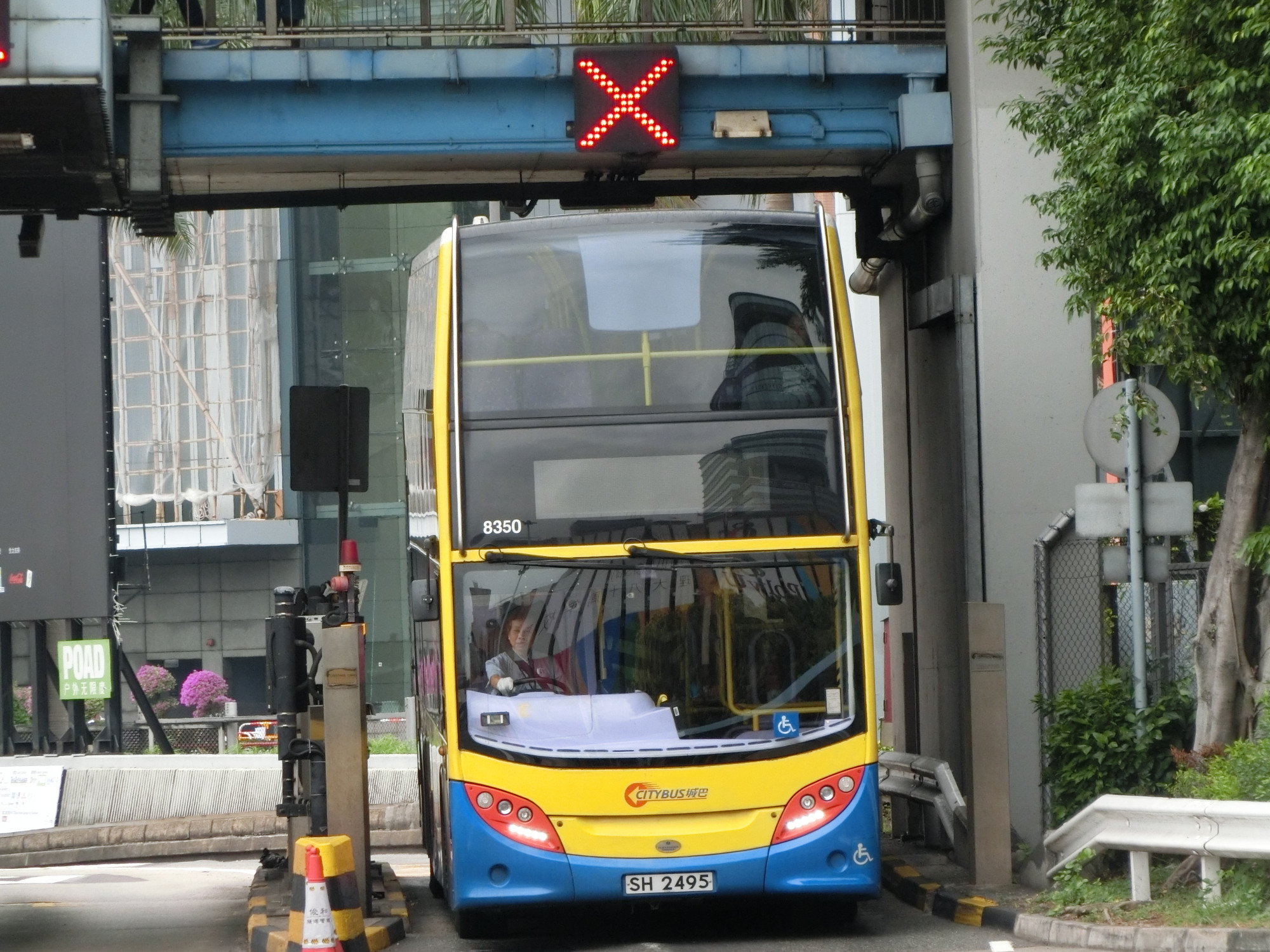 CIMG0153.JPG