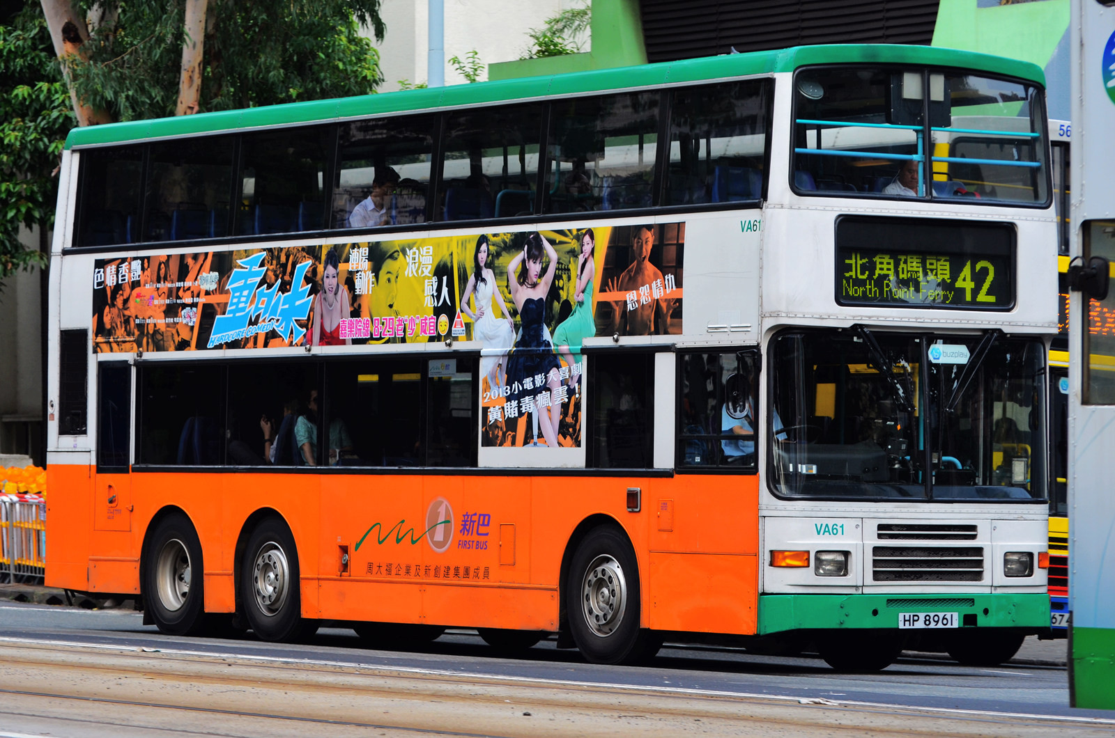 VA61(81).jpg