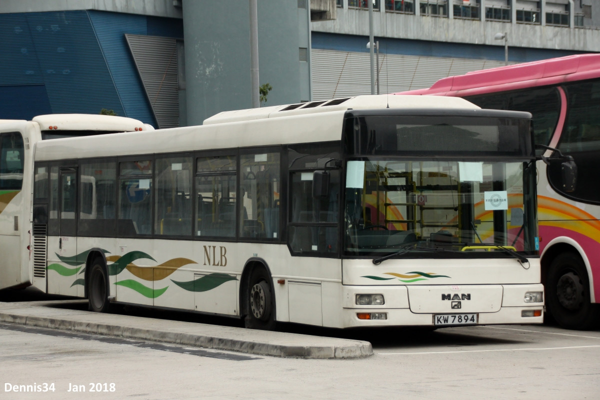 O18016.jpg