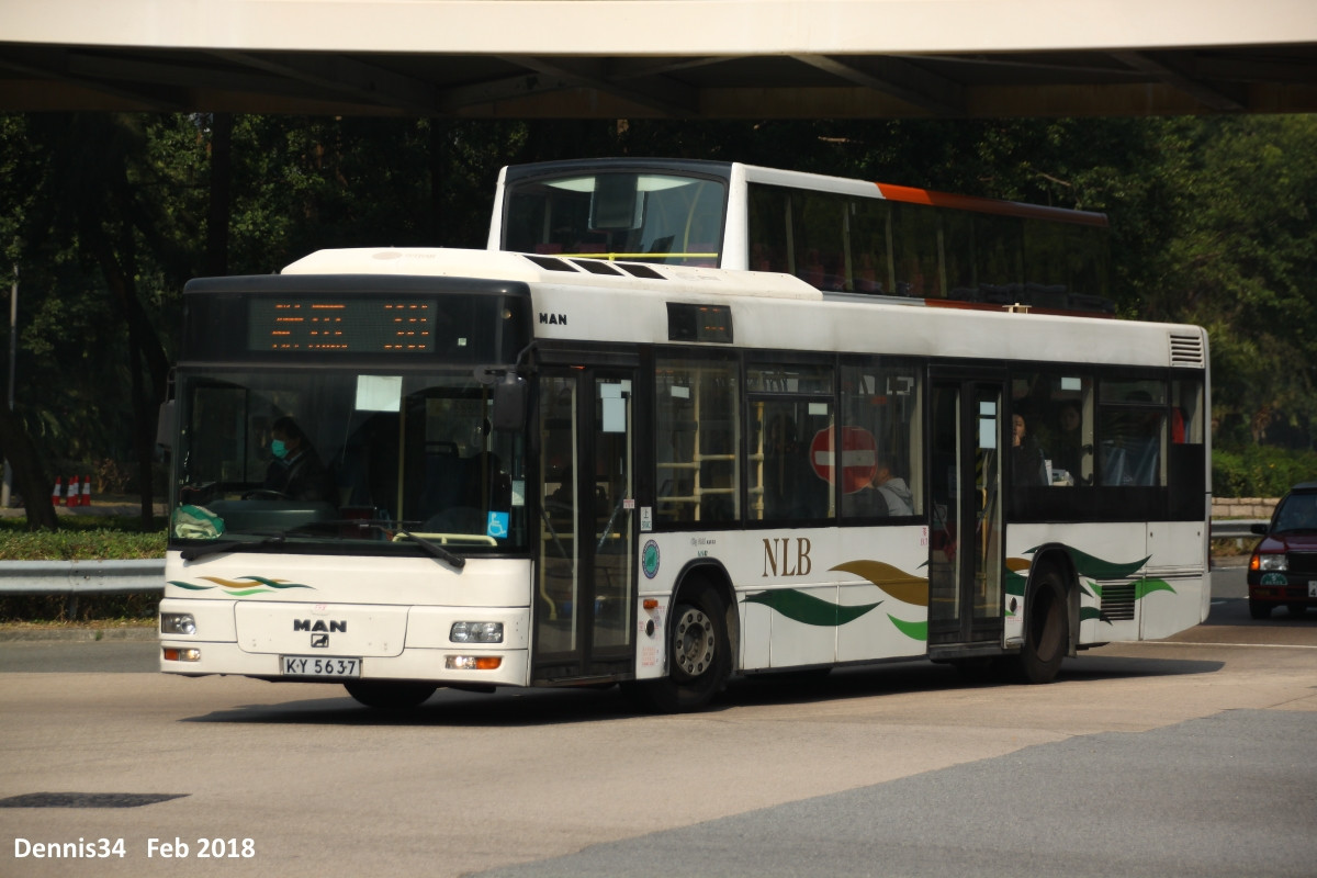 O18084.jpg
