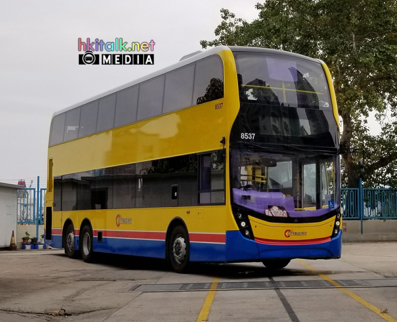 8537 (5).jpeg