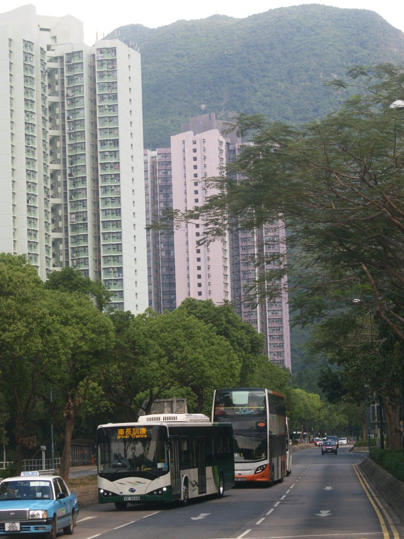 nl_byd_0_1.jpg
