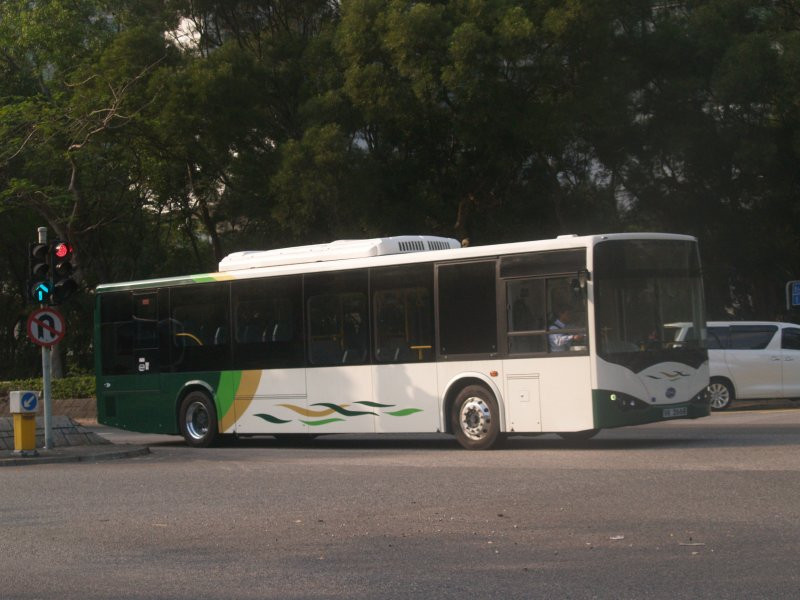 nl_byd_4_1.jpg