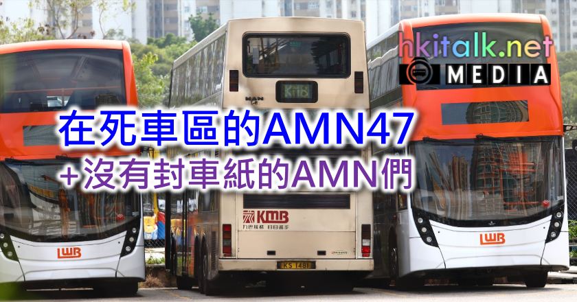 000 amn47.png
