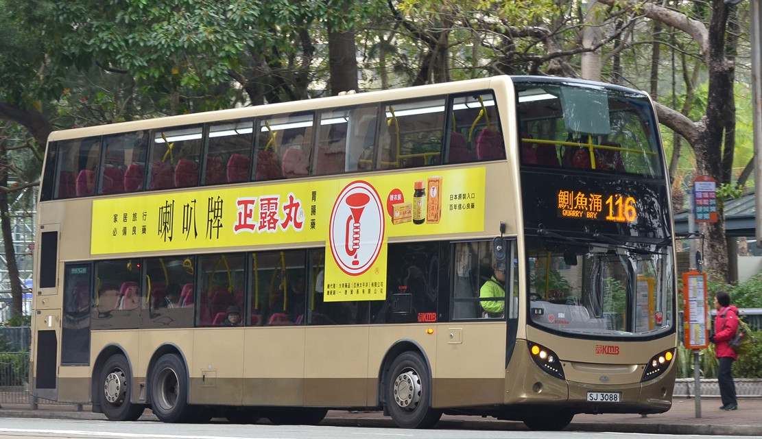 DSC_4876 - 複製.JPG