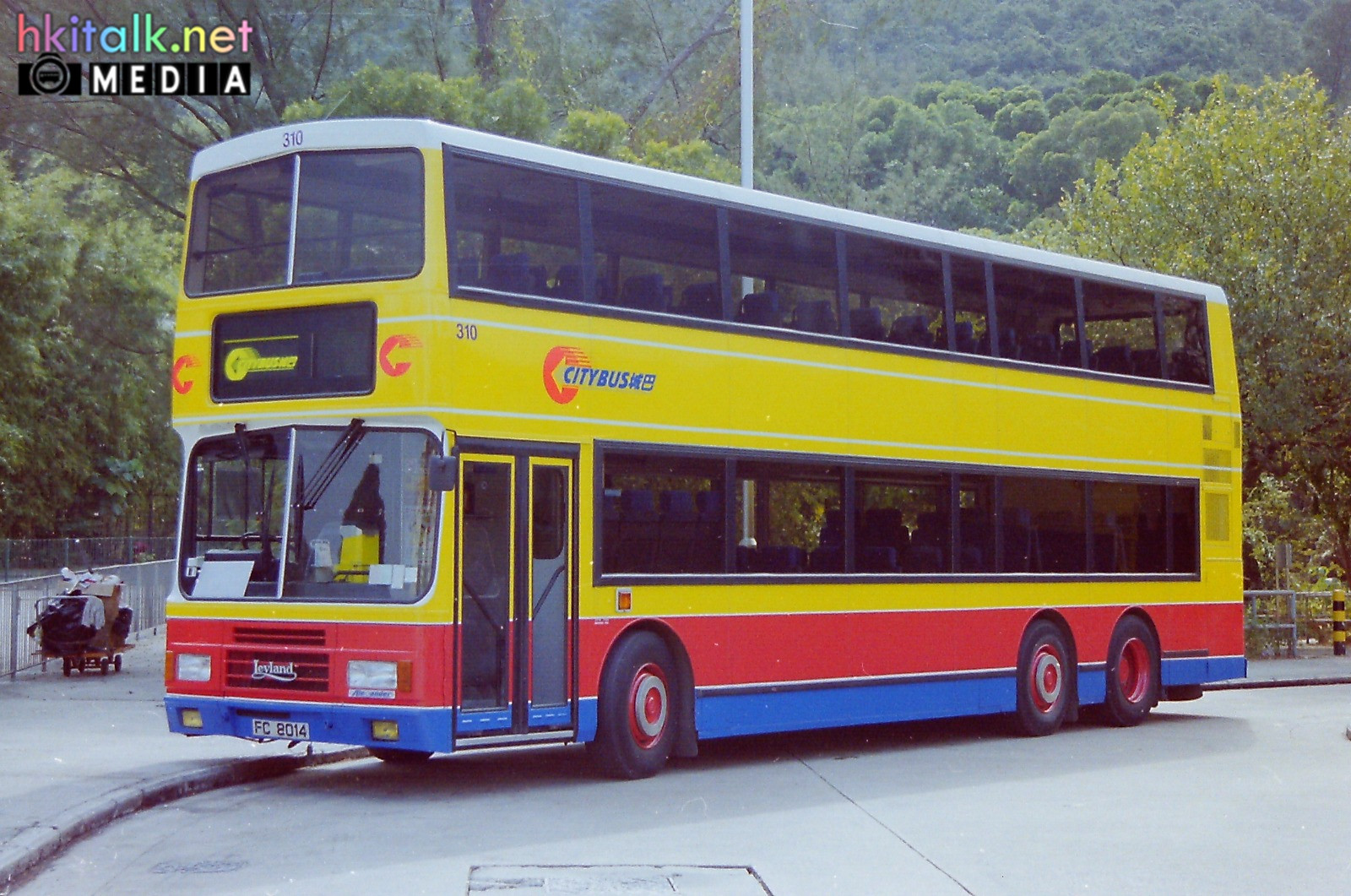 310.jpg