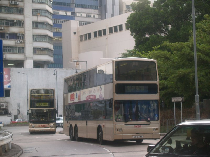 k_amn29_1_1.jpg