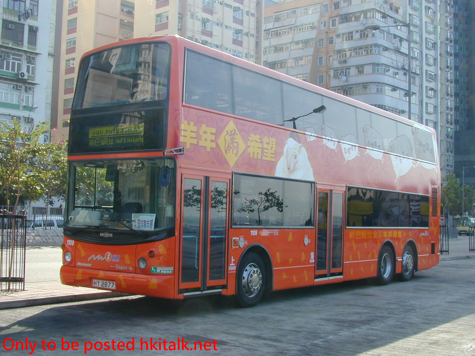 N1109-12153-P.jpg