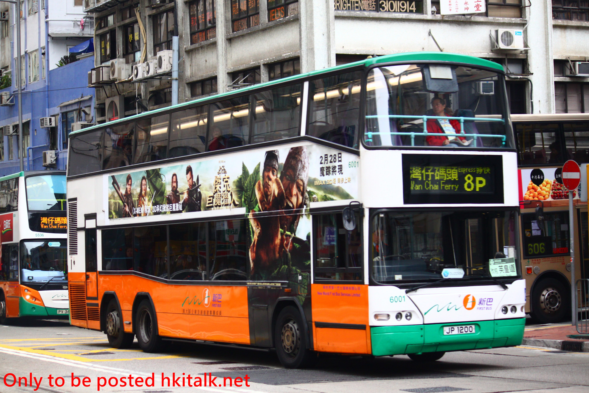 N6001-Y130224A014-8P.JPG