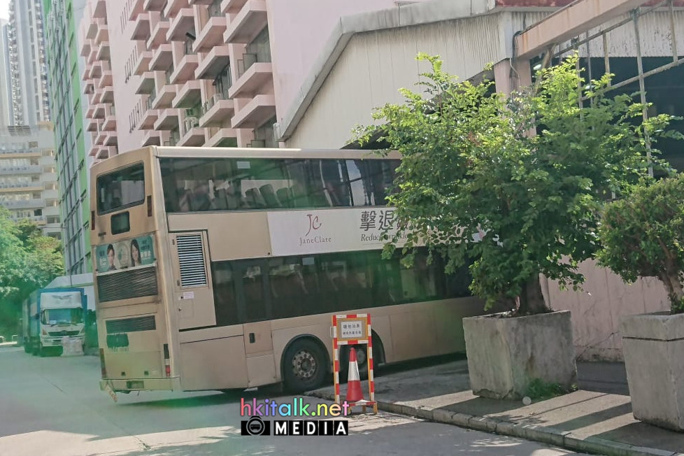 KS1481 (1).jpeg