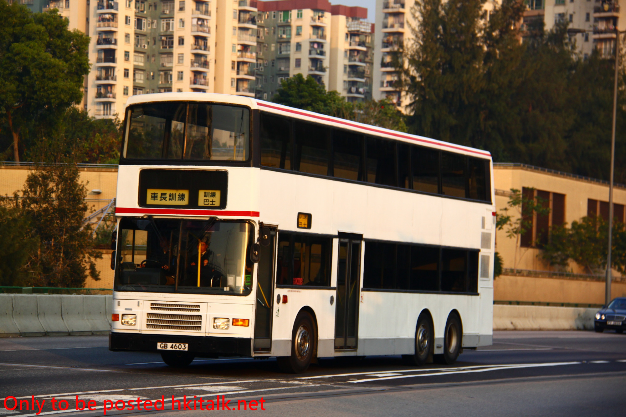 3AV013-Y131221A526-P.JPG