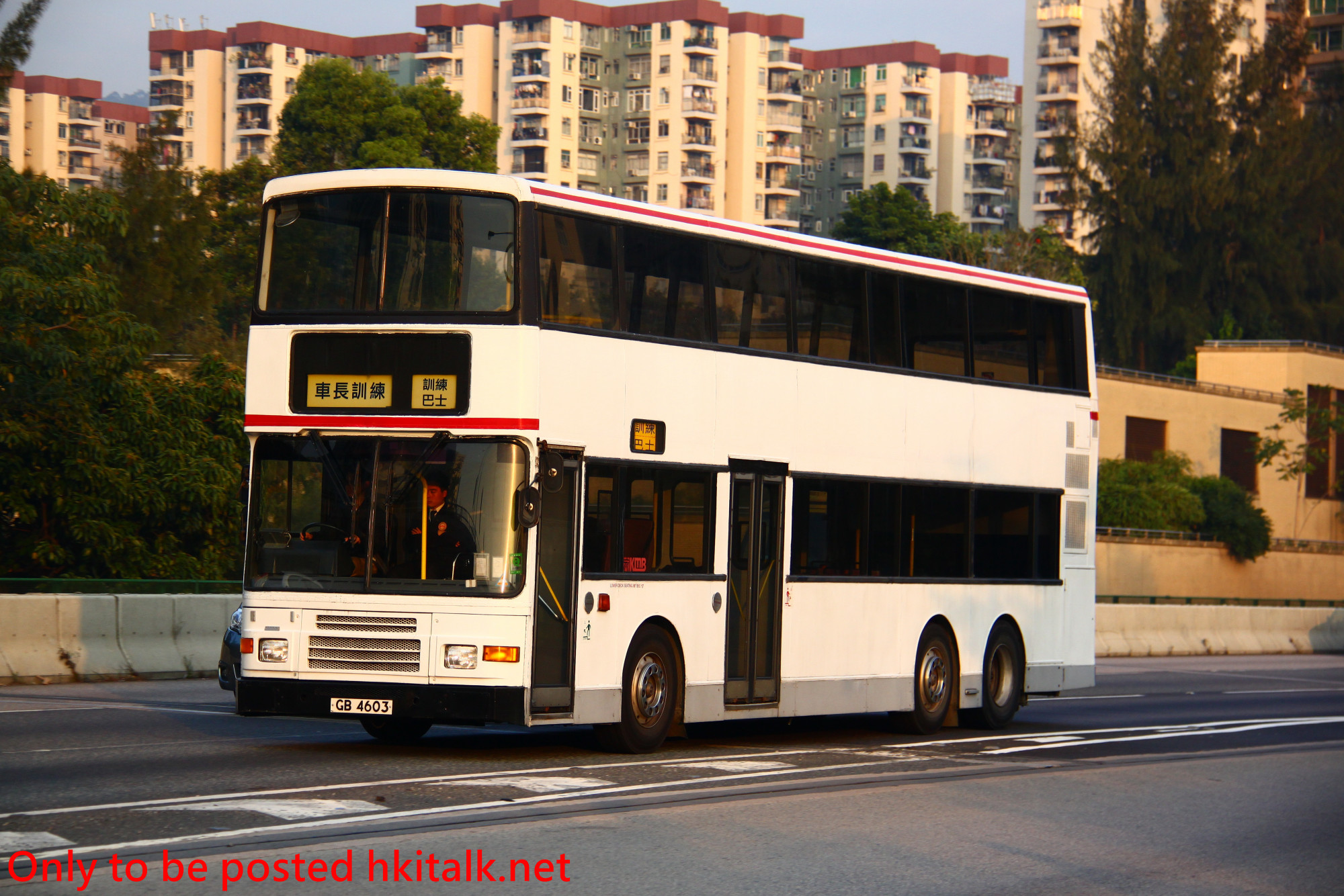 3AV013-Y131221A527-P.JPG