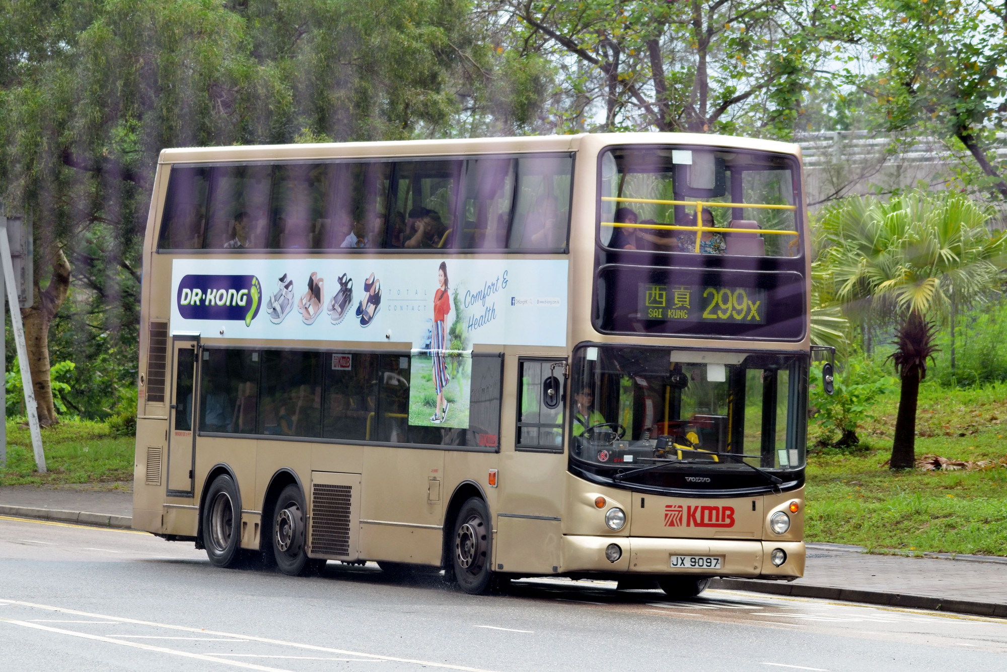 JX9097@299X.JPG