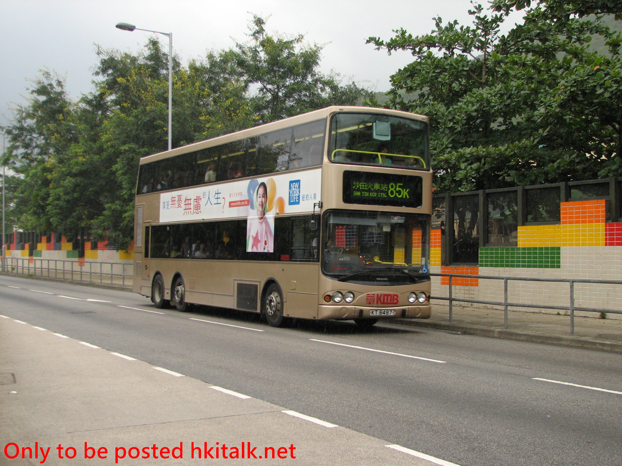 3ASV447-E0448-85K.JPG