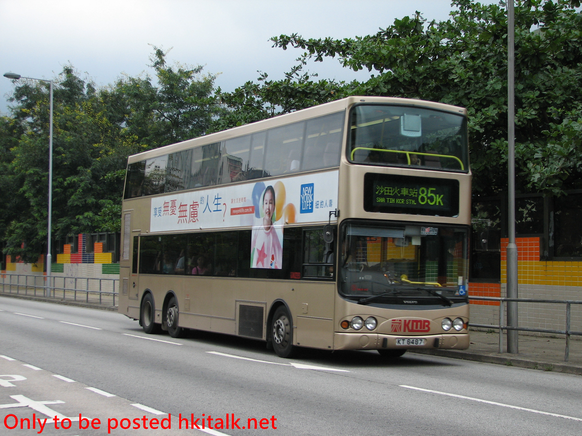 3ASV447-E0604-85K.JPG