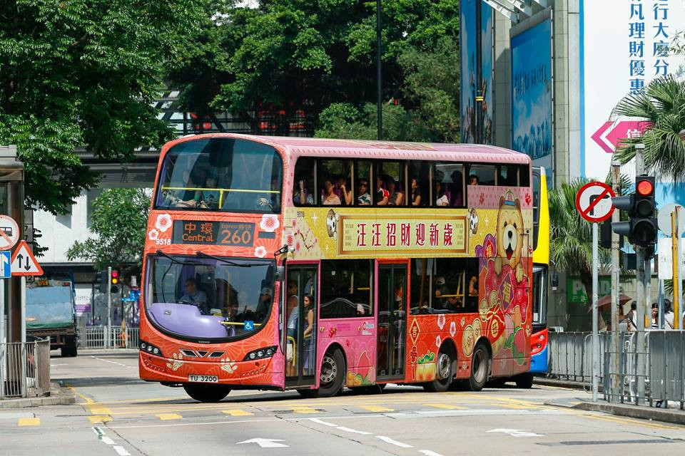 9518 260.jpg