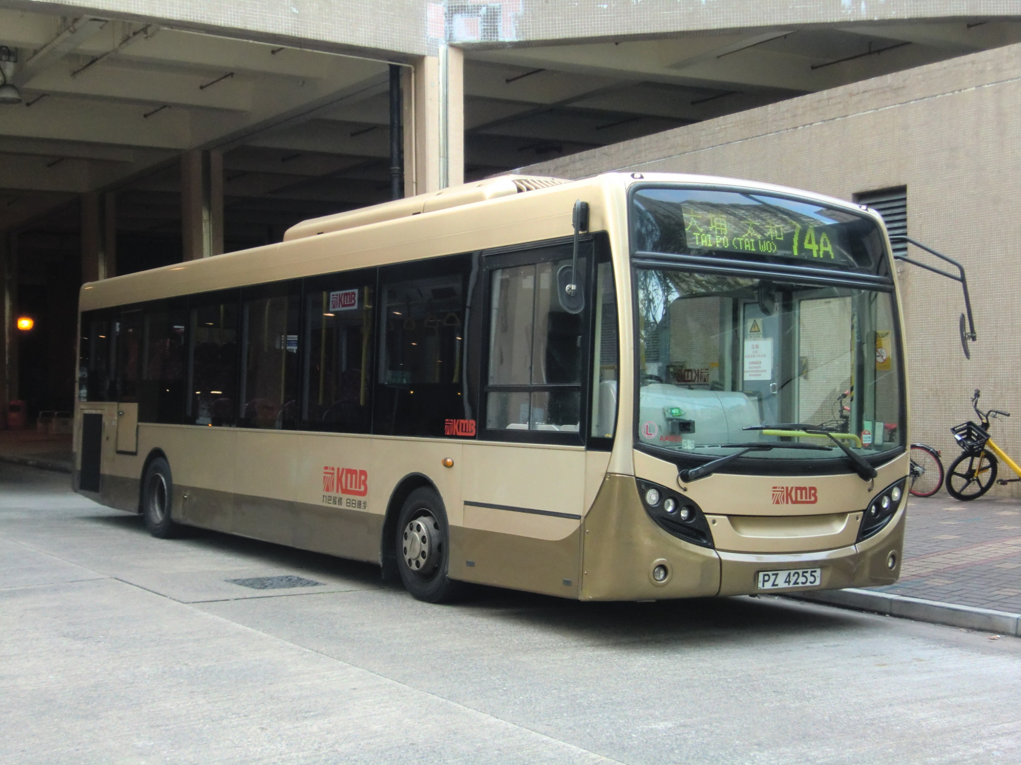 CIMG1069.JPG