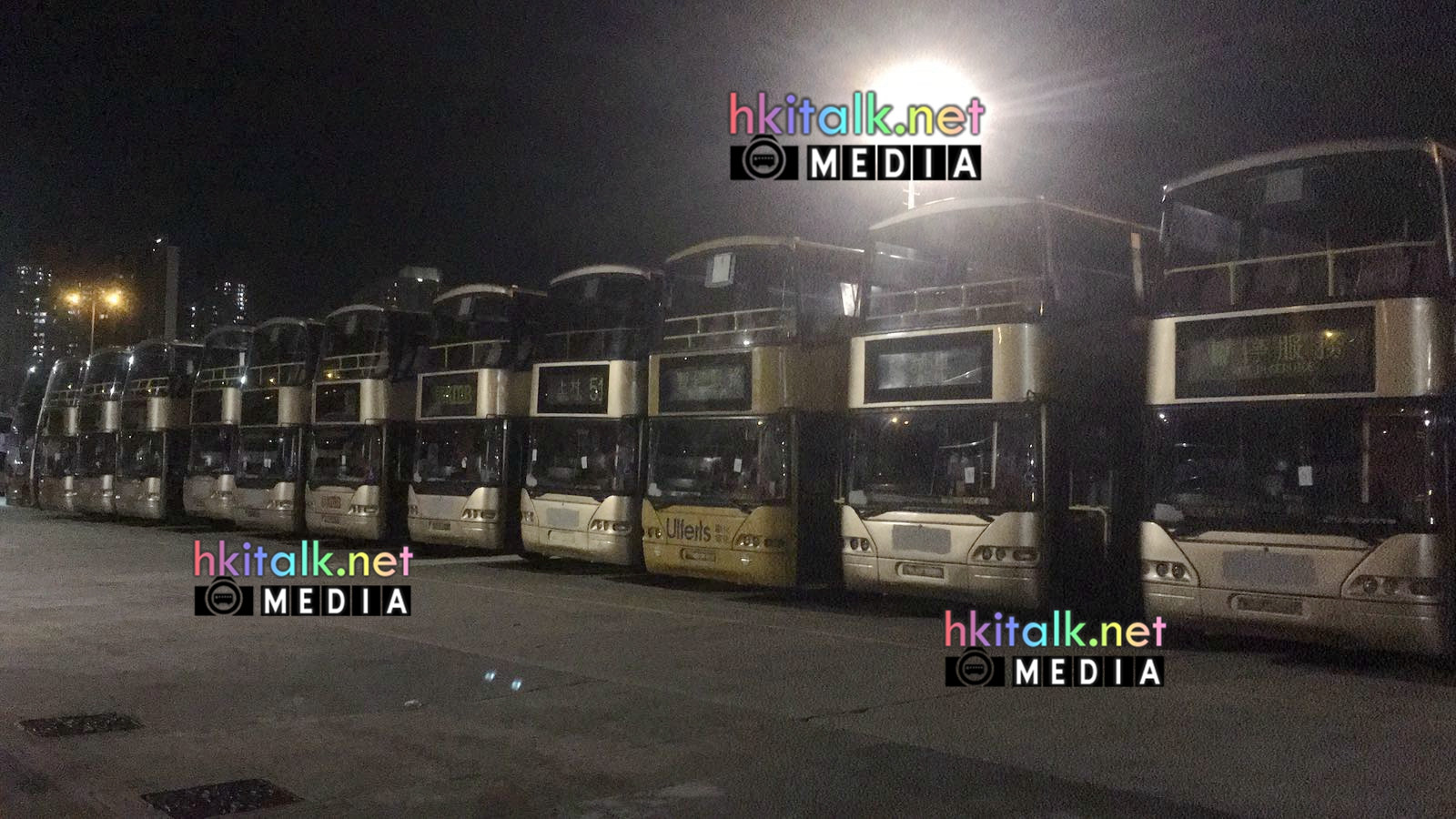 TMSD AP (1).jpeg