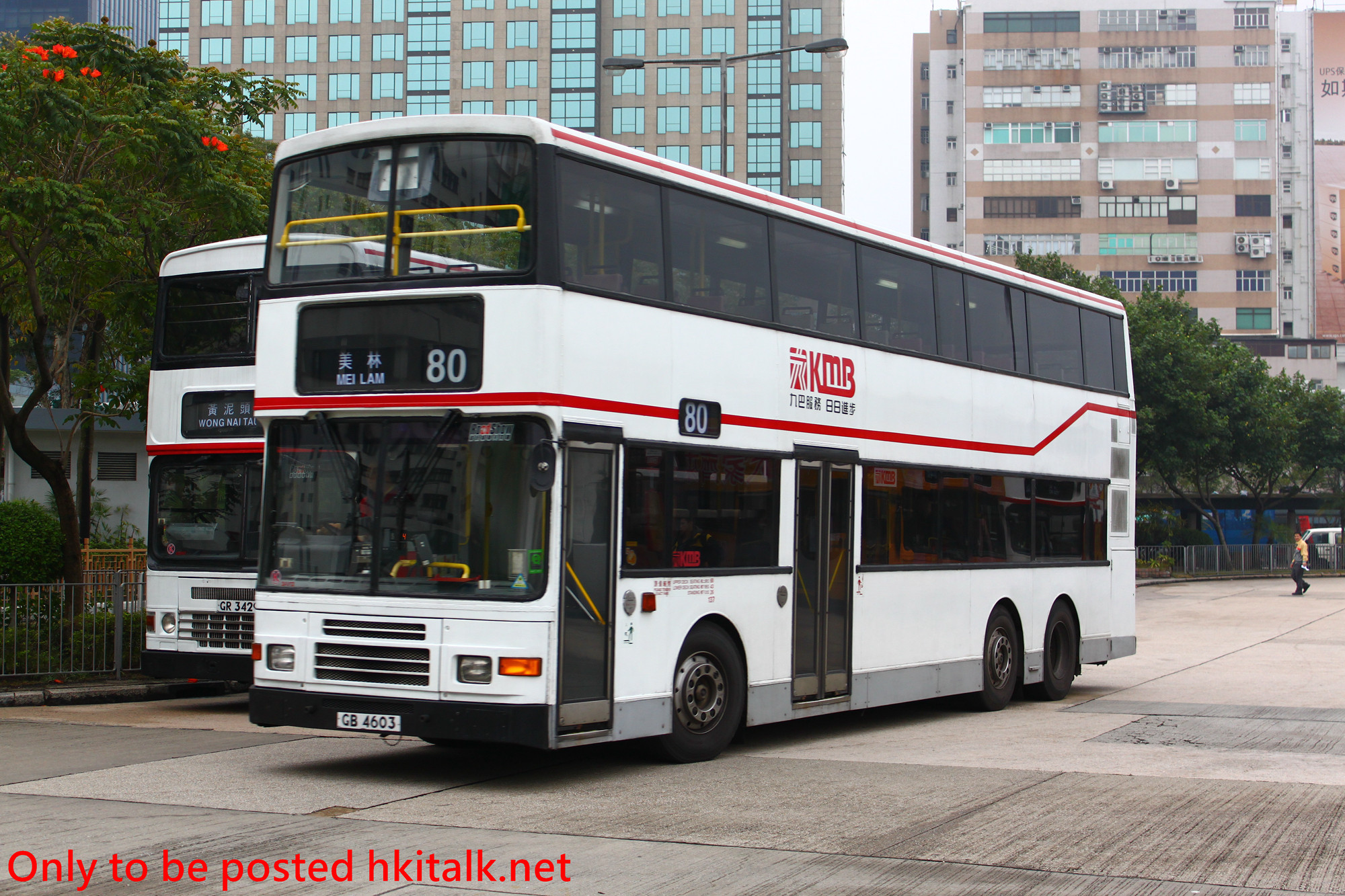 3AV013-J3401-80.JPG