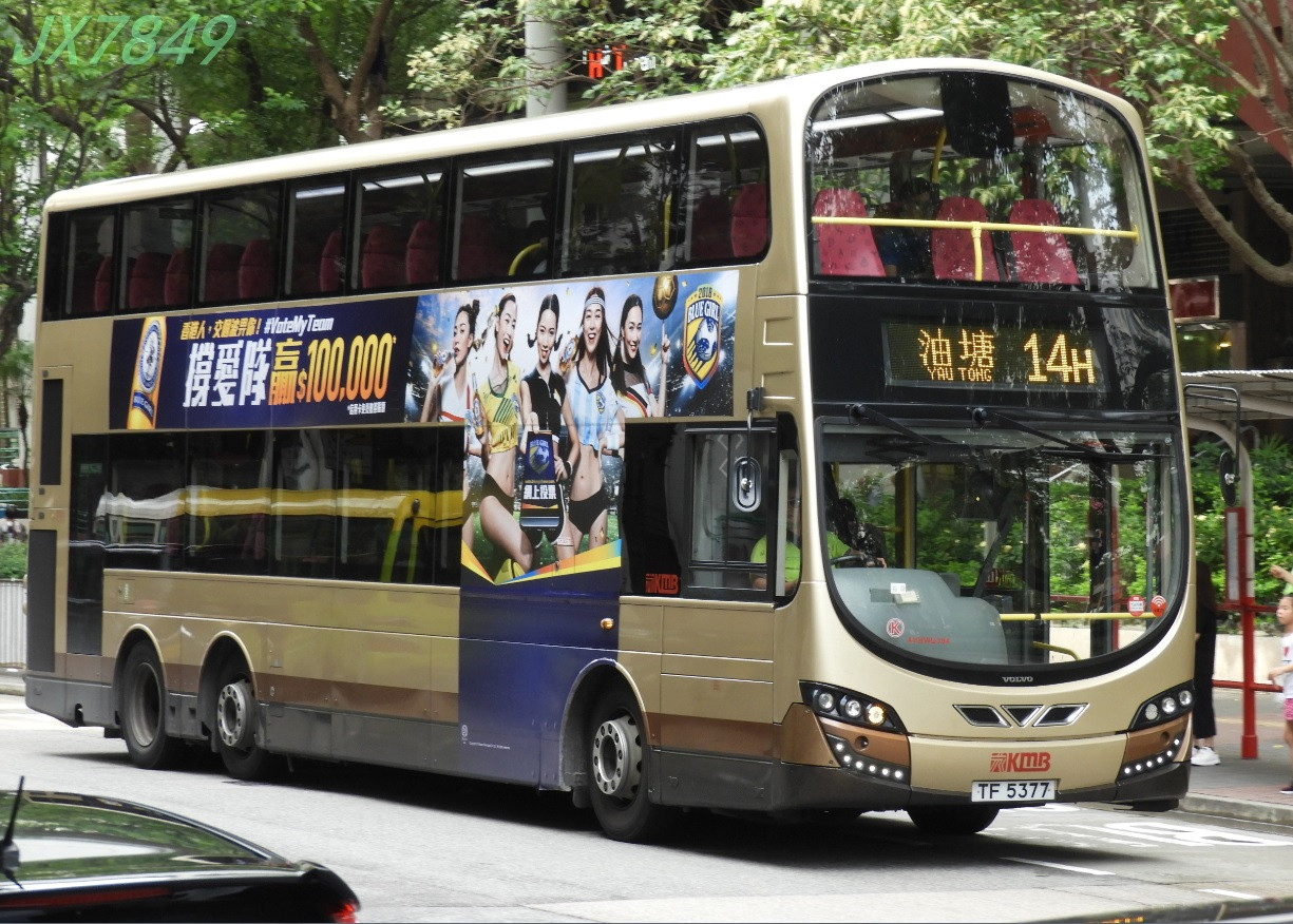 TF5377 14H7.jpg