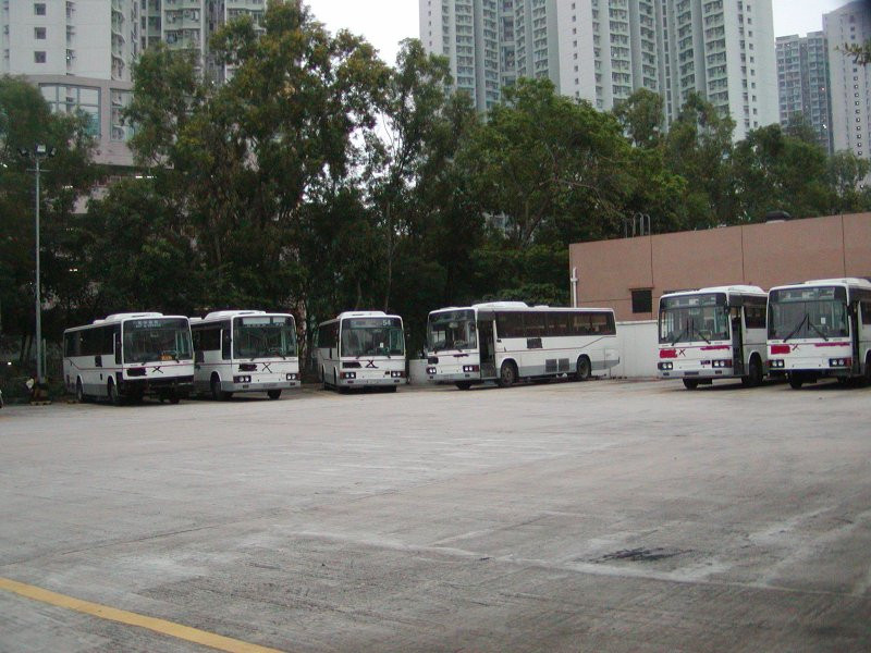 P1010037.jpg