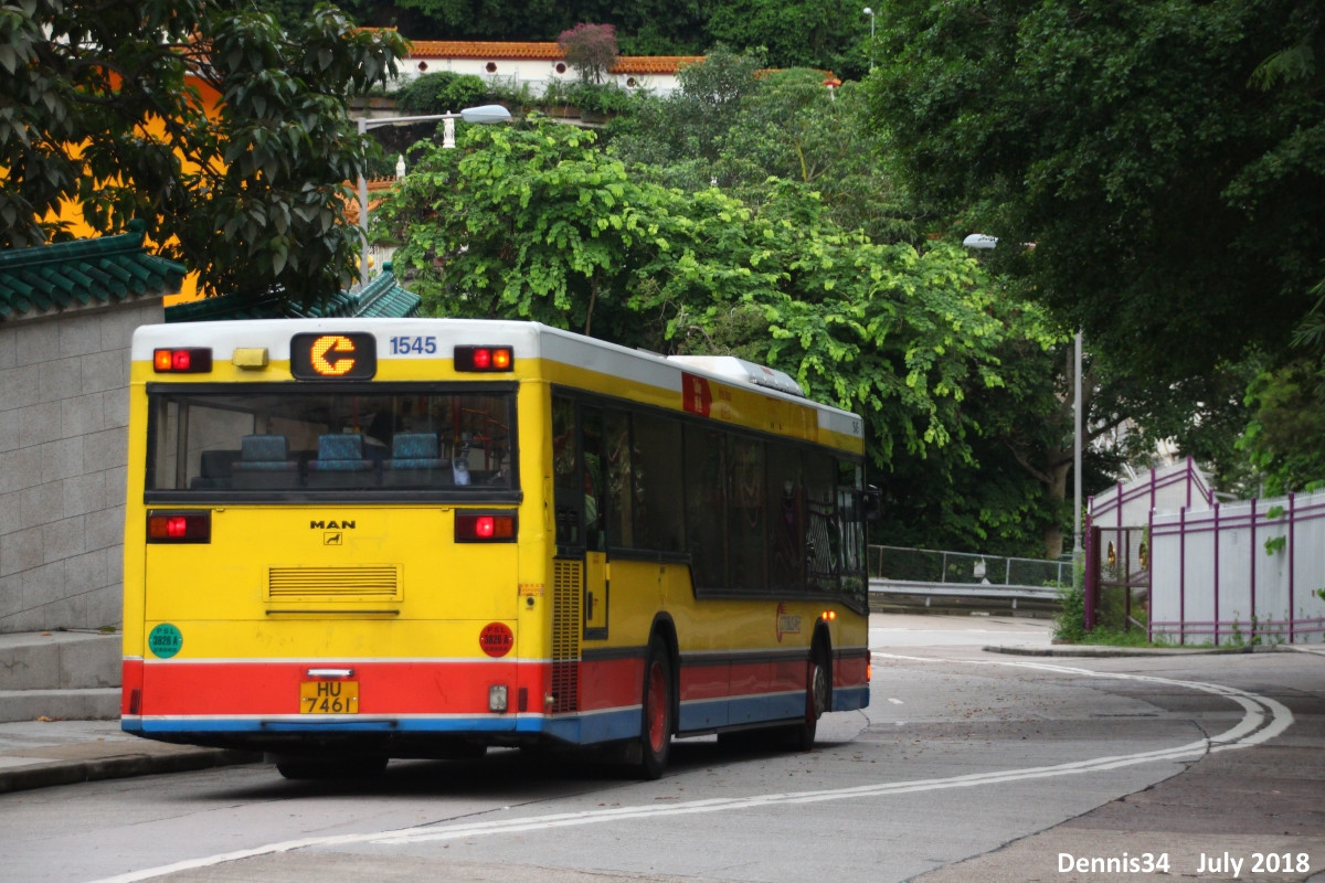 N18181.jpg