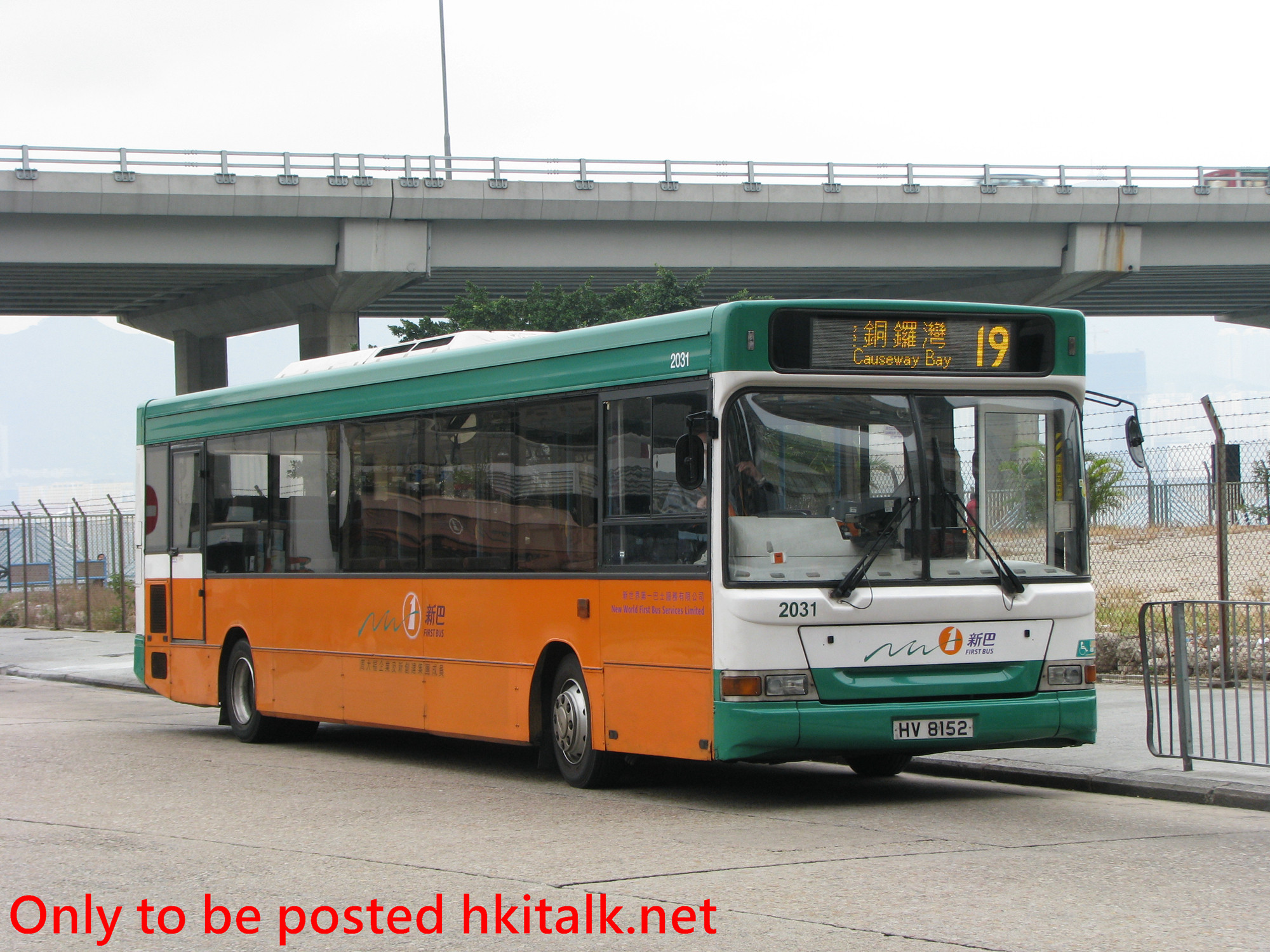 N2031-I8113-19.JPG