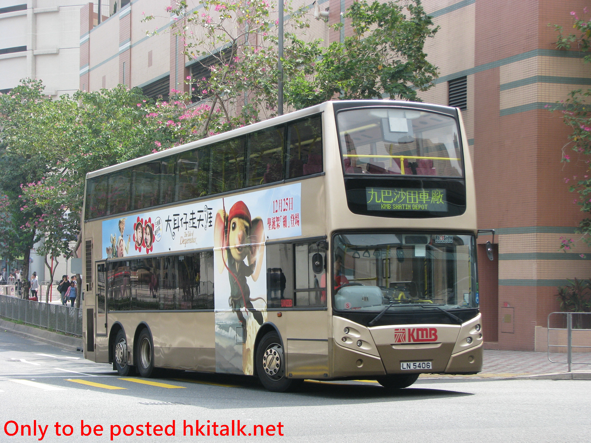 ATE177-J0071-BCOY2009.JPG