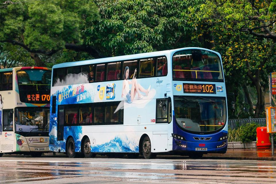 SY9149.jpg