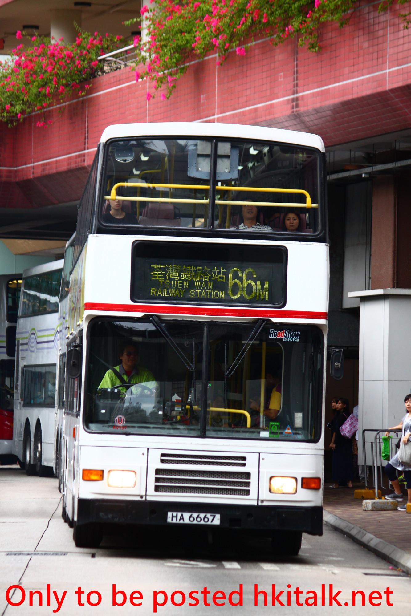 AV197-W00580-66M.JPG
