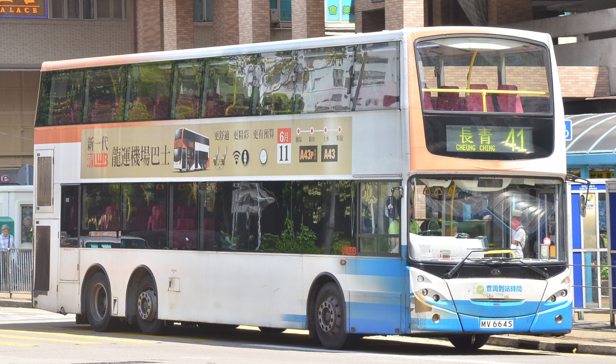DSC_0241 - 複製.JPG