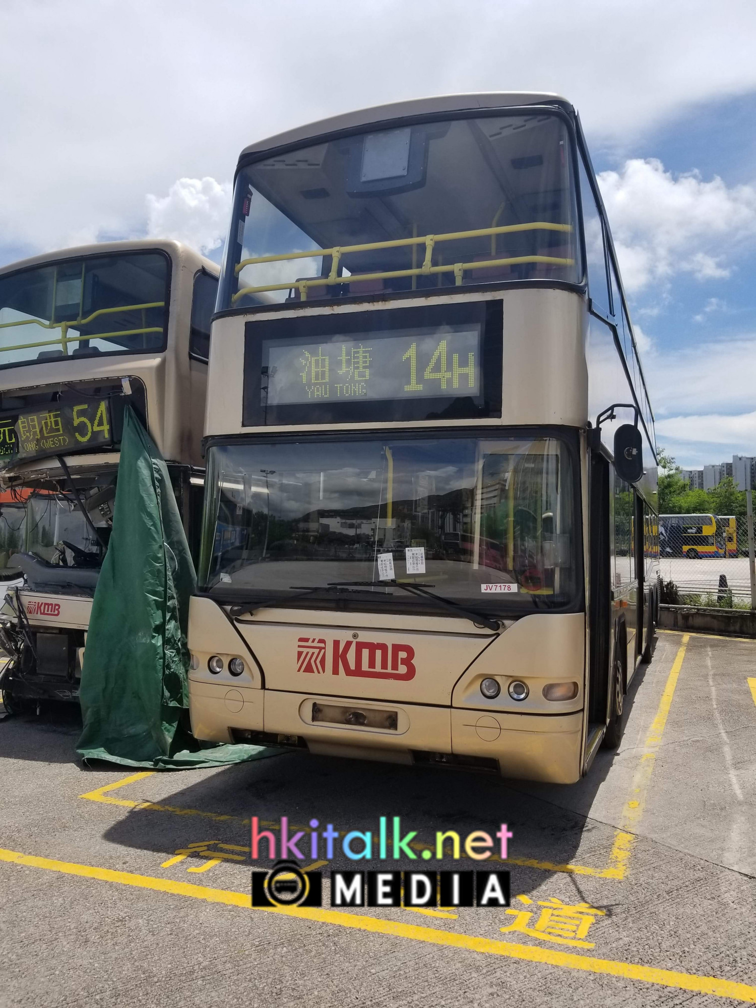 TMD1 (22).jpg