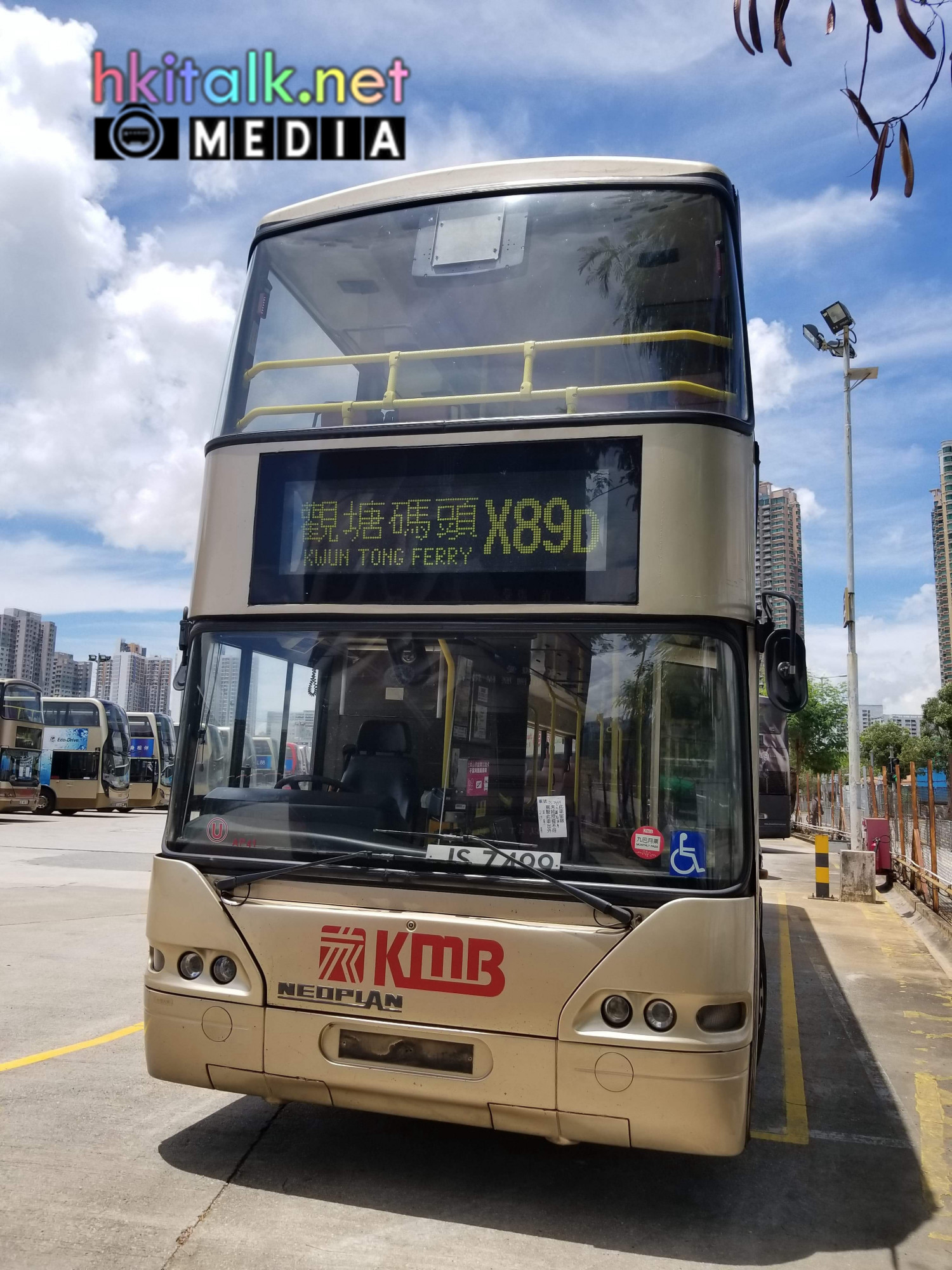 TMD1 (31).jpg