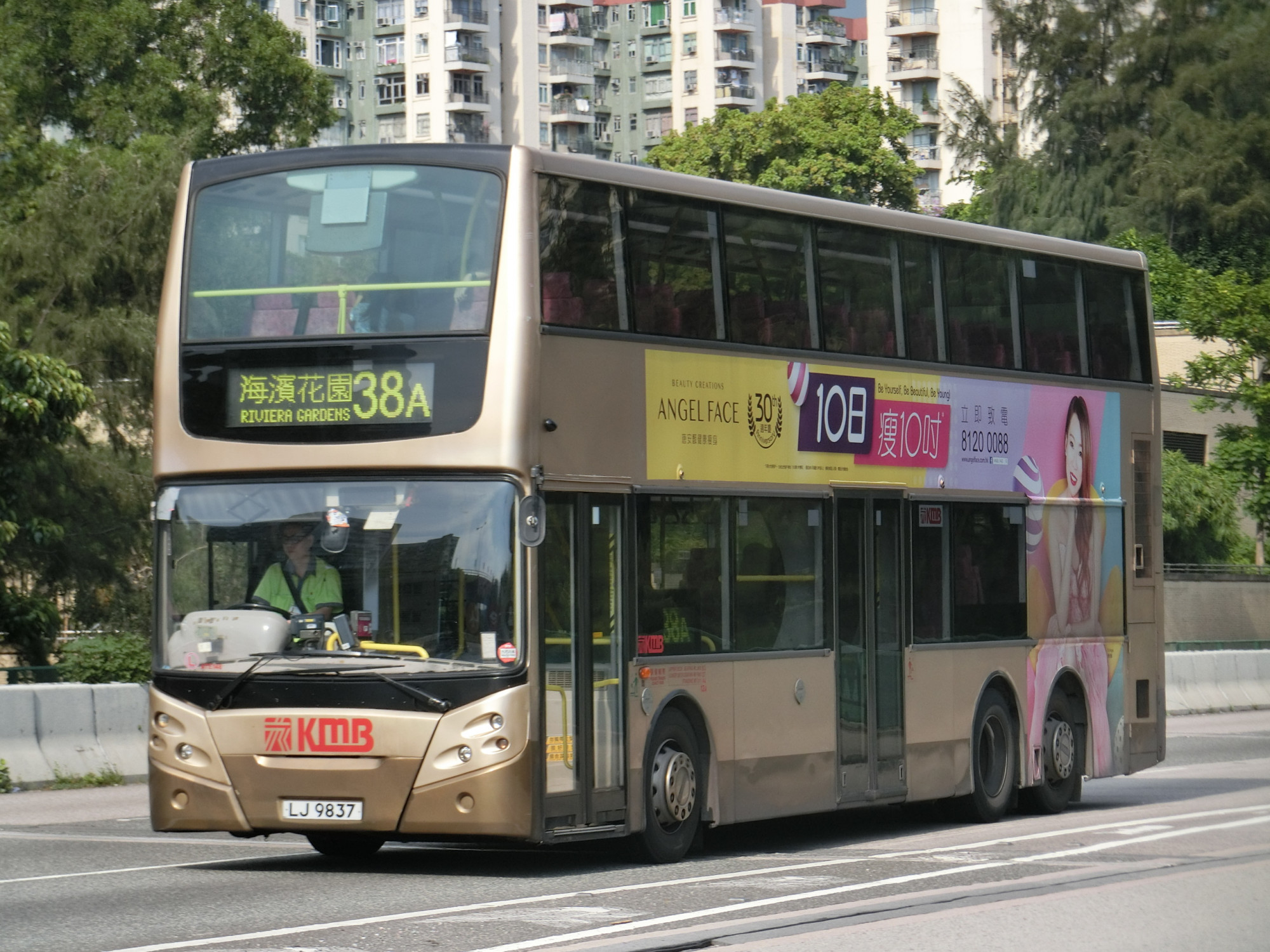 CIMG0679.JPG