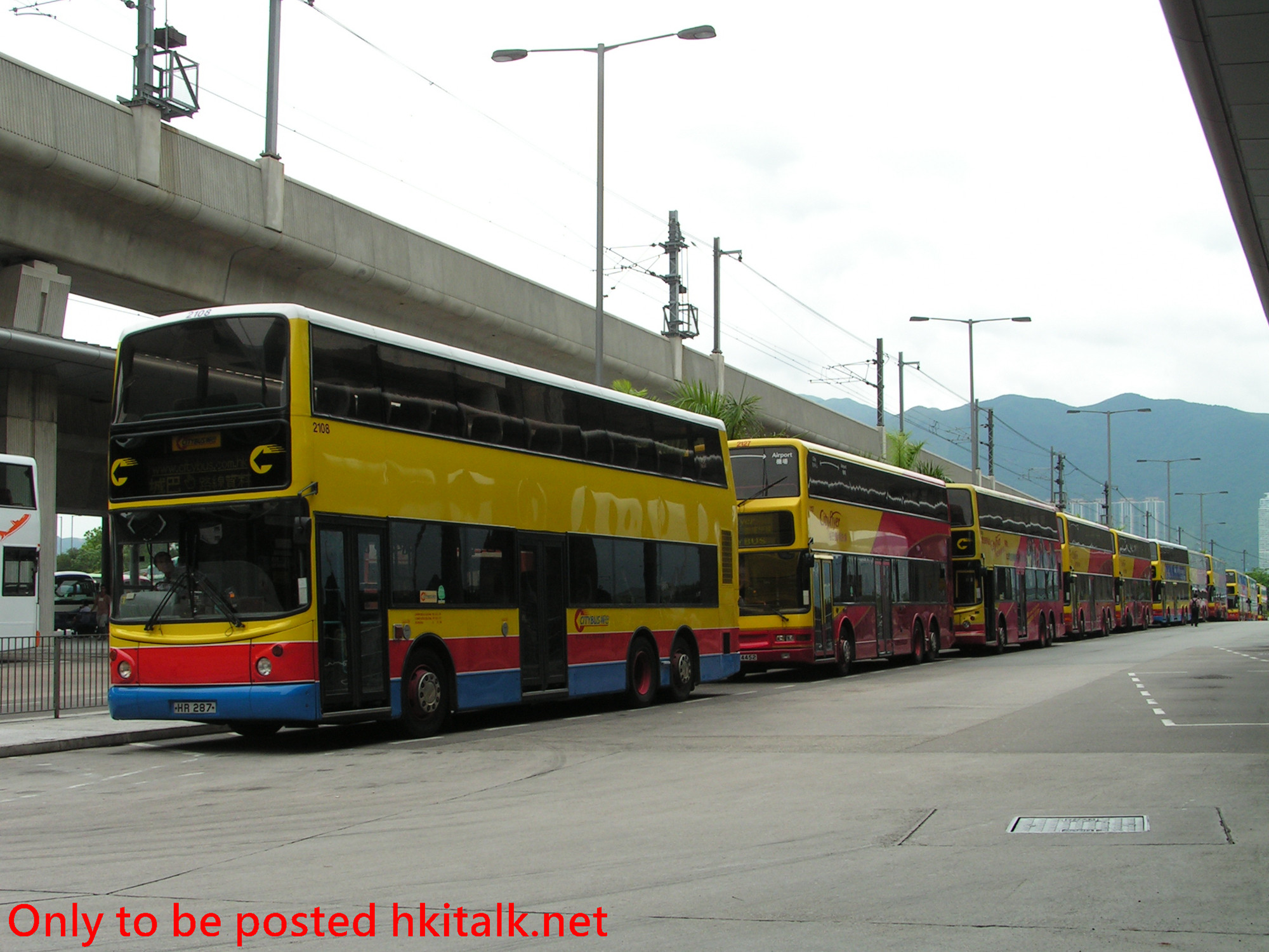 C2108-B2875-P.JPG